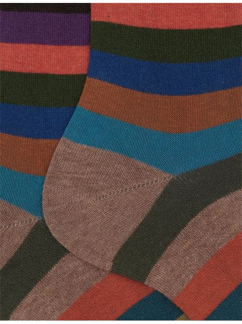 AP10312030735 FANTASIA gallo | AP10312030735 FANTASIA